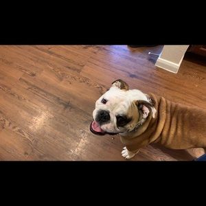 Meet your Posher, Noehelia